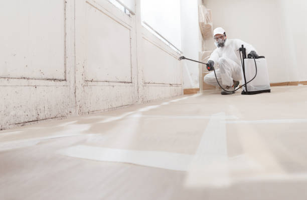 24/7 Emergency Mold Remediation experts in Spring Lake, NC