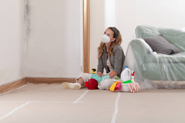 Reliable Mold Remediation contractor in Spring Lake, NC by 24 Hour Mold Removal