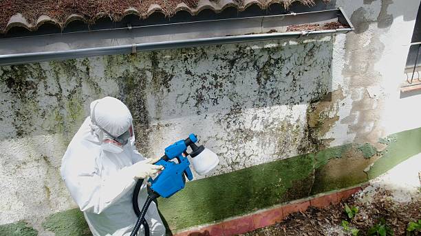 Top rated local Mold Remediation specialists in Spring Lake, NC